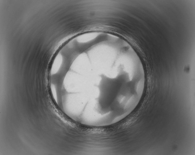 X0000114700846200912021106