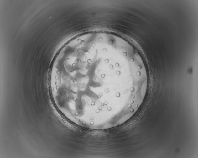 X0000114700847200912021106