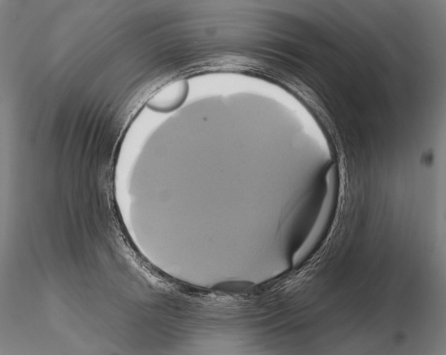 X0000114700850200912021106