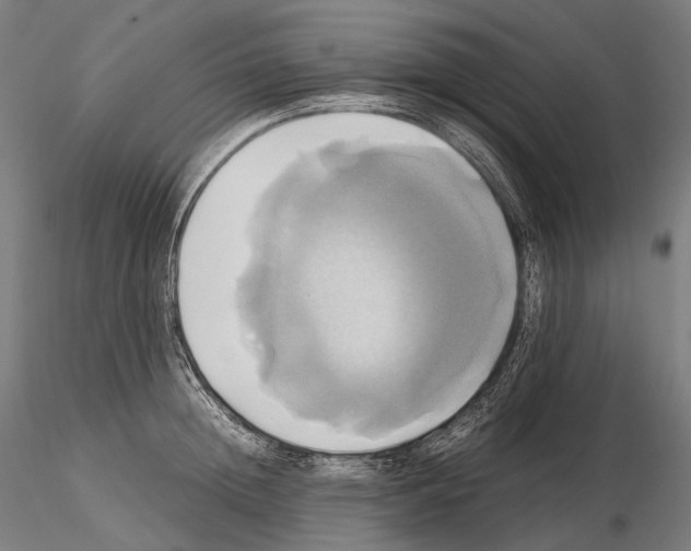 X0000114700852200912021106