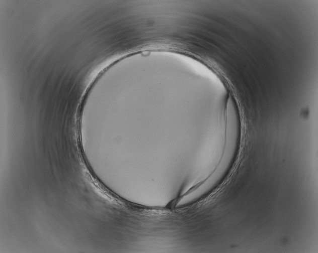 X0000114700854200912021106