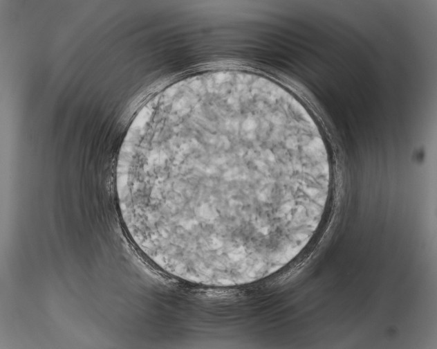 X0000114700857200912021106