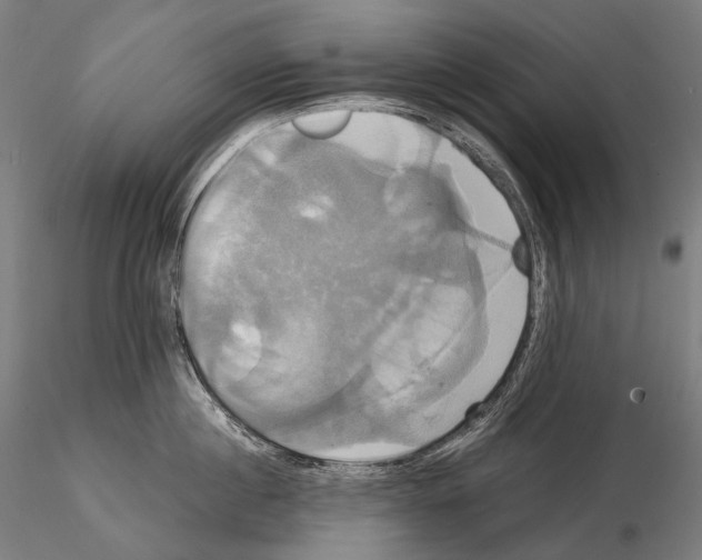 X0000114700860200912021106