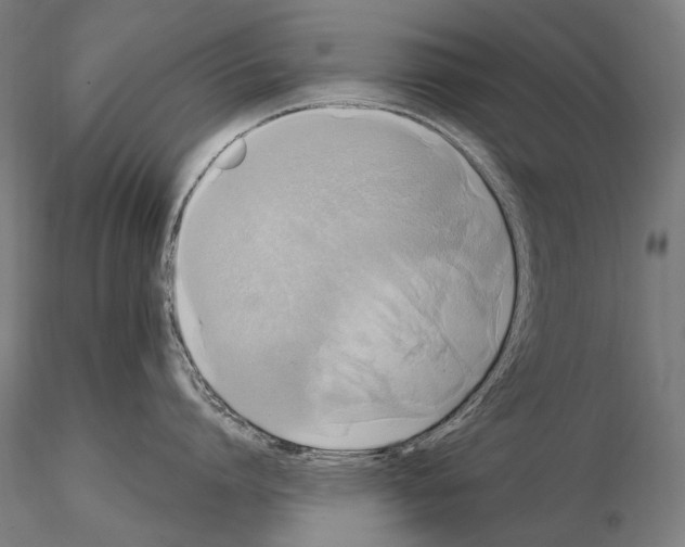 X0000114700864200912021106