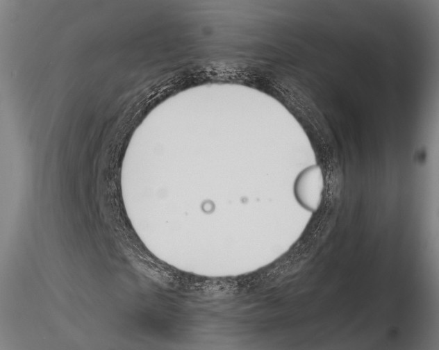 X0000114700865200912021106