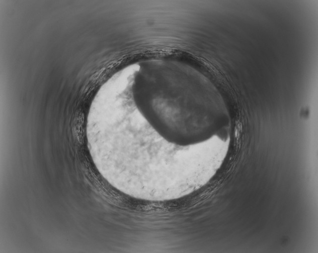 X0000114700867200912021106