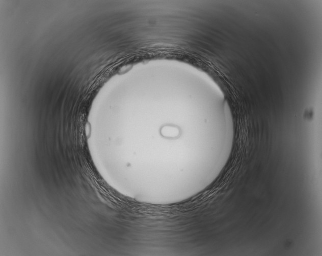 X0000114700868200912021106