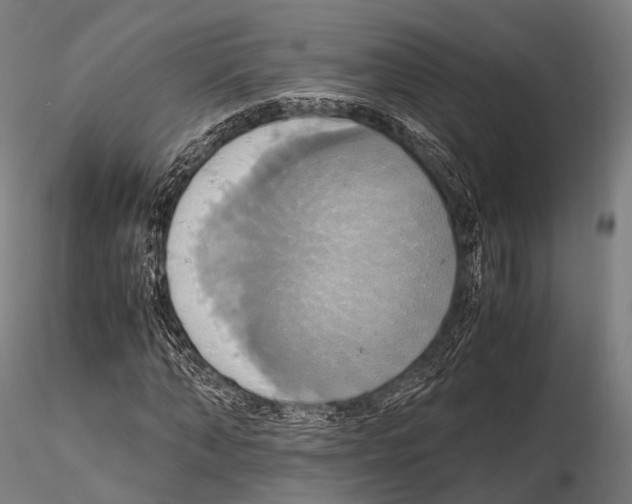 X0000114700870200912021106