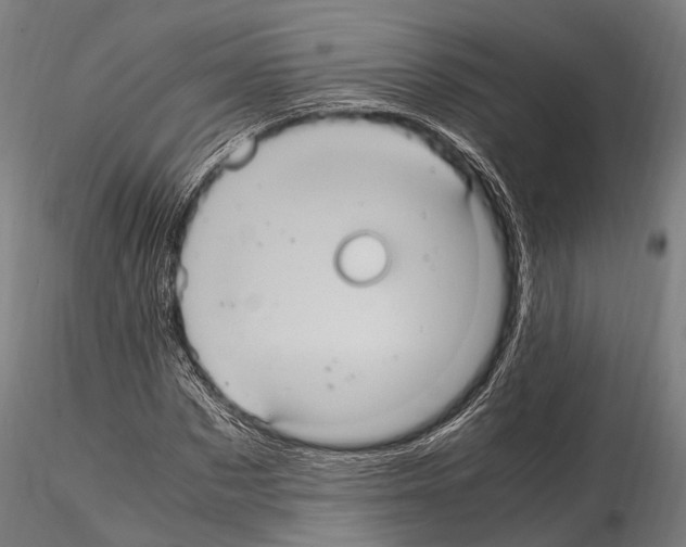 X0000114700873200912021106