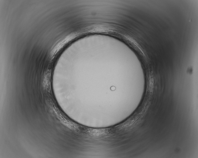 X0000114700874200912021106