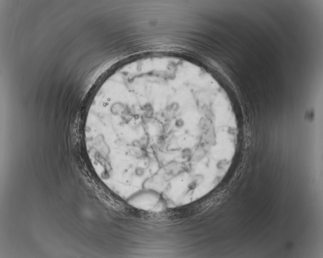 X0000114700875200912021106