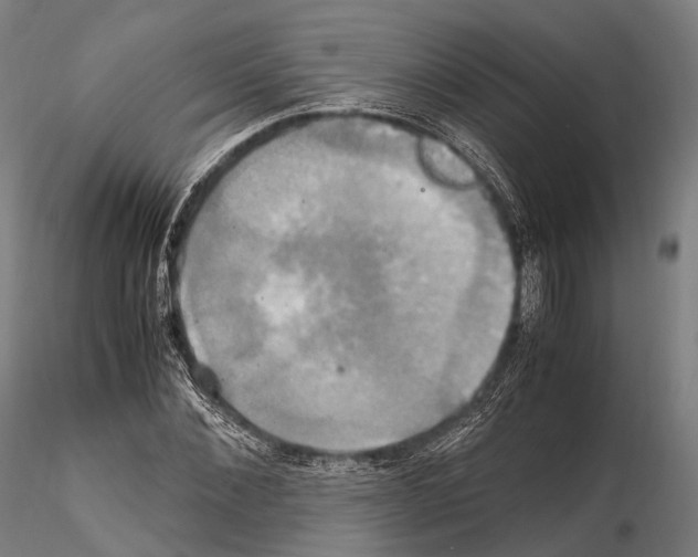 X0000114700876200912021106