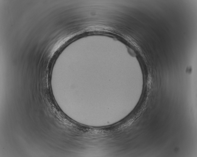 X0000114700877200912021106