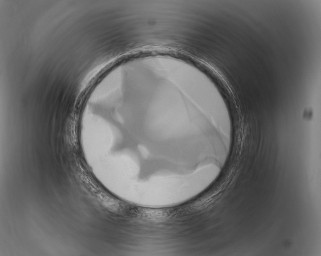 X0000114700878200912021106