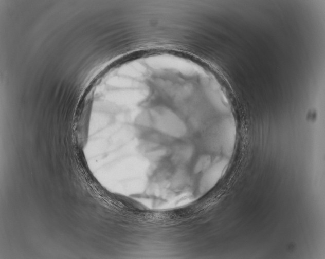 X0000114700879200912021105