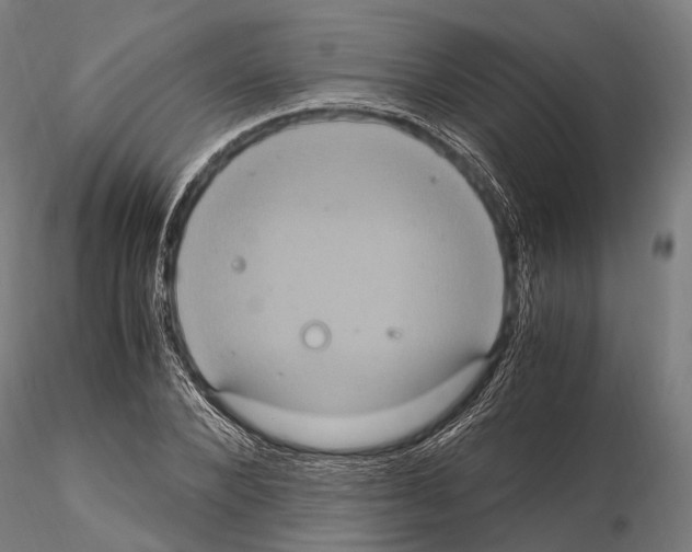 X0000114700880200912021105