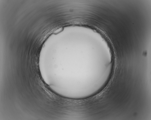 X0000114700881200912021105