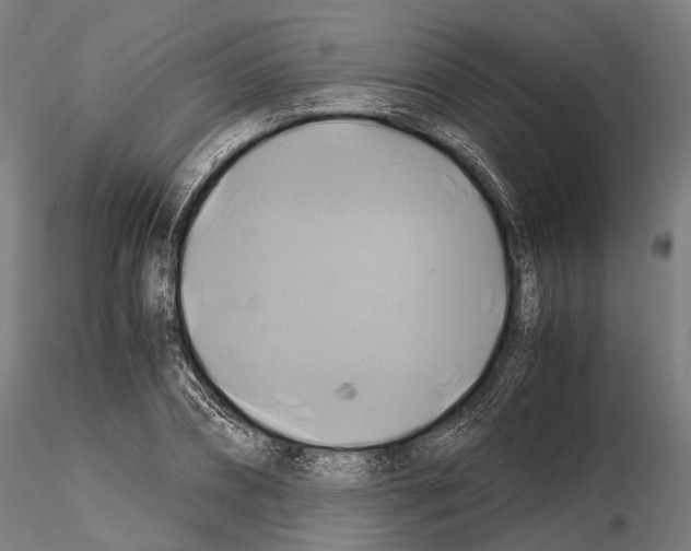 X0000114700882200912021105