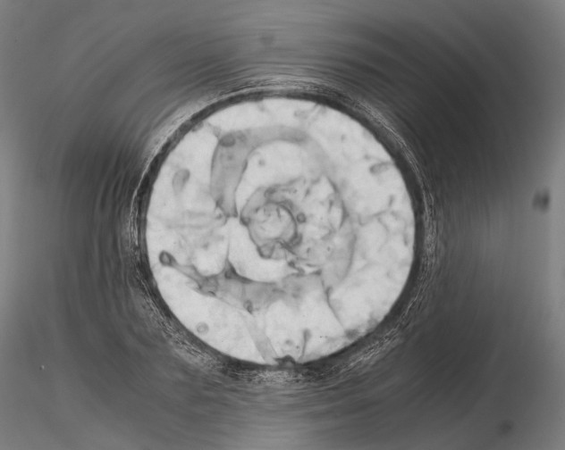 X0000114700883200912021105