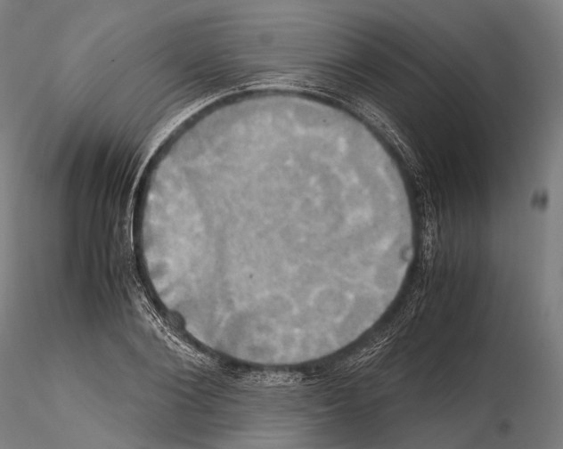 X0000114700884200912021105