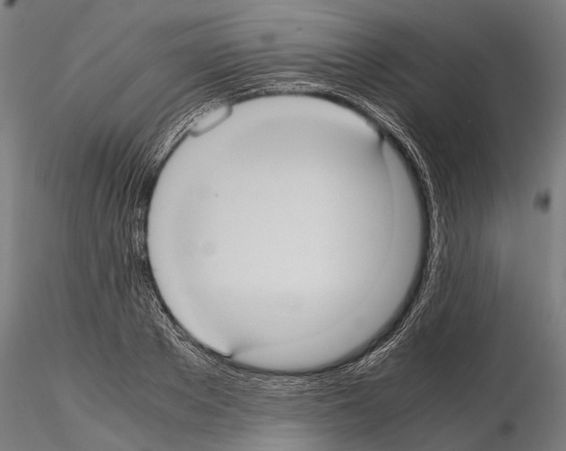 X0000114700889200912021105