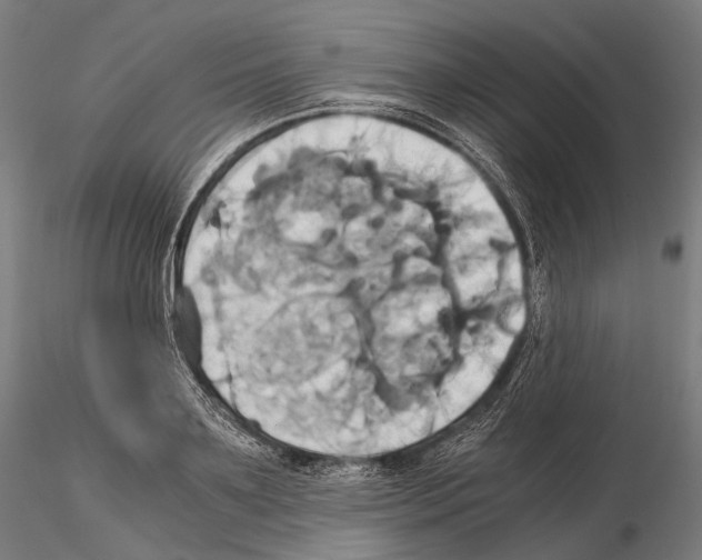 X0000114700891200912021105