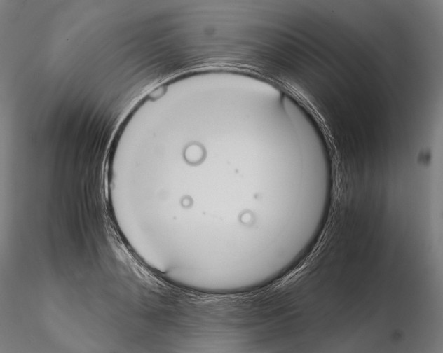 X0000114700892200912021105