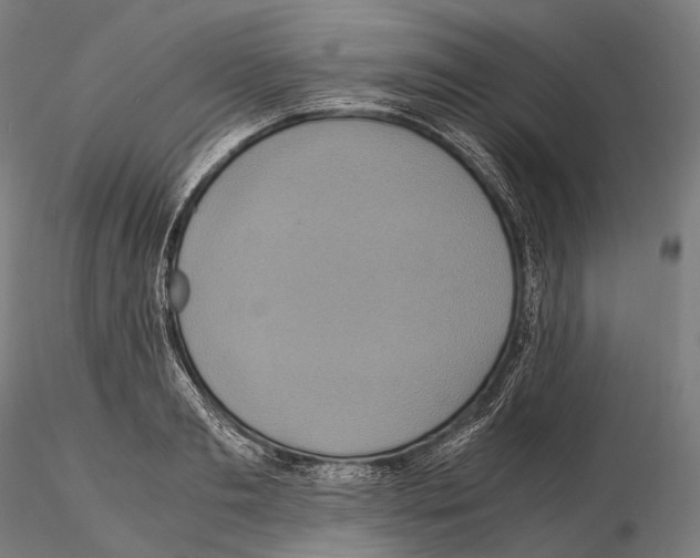 X0000114700893200912021105