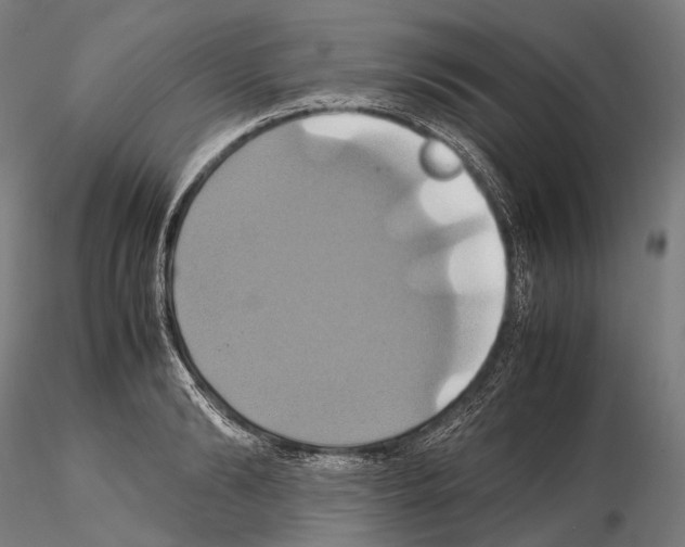 X0000114700894200912021105