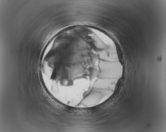 X0000114700895200912021105