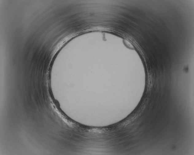 X0000114700898200912021105