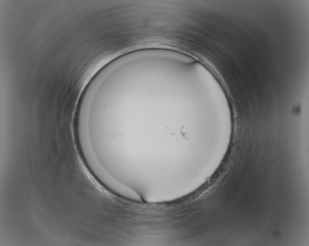 X0000114700901200912021105