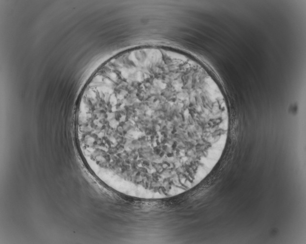 X0000114700903200912021105