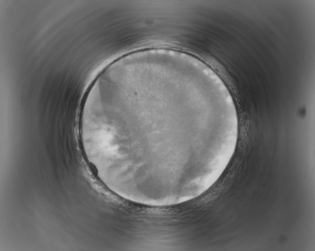 X0000114700904200912021105