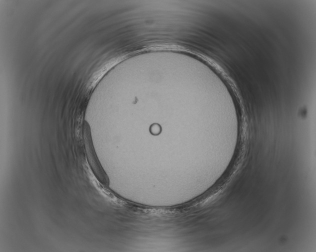 X0000114700905200912021105