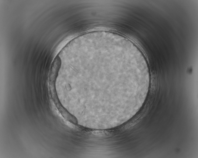 X0000114700906200912021105