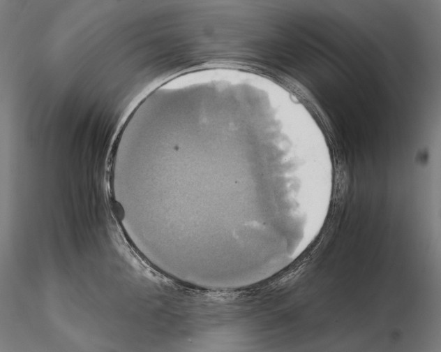 X0000114700908200912021105