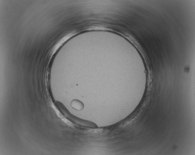 X0000114700909200912021105