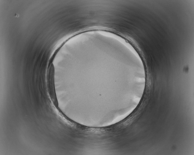 X0000114700910200912021105