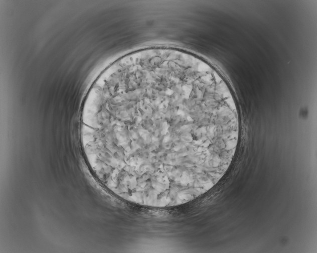 X0000114700911200912021105