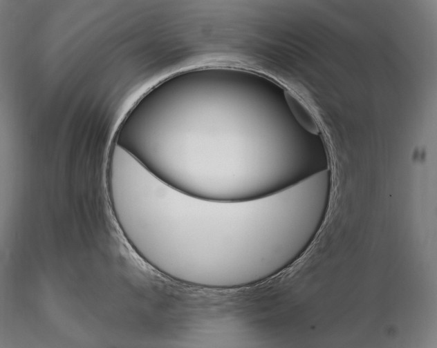 X0000114700912200912021105