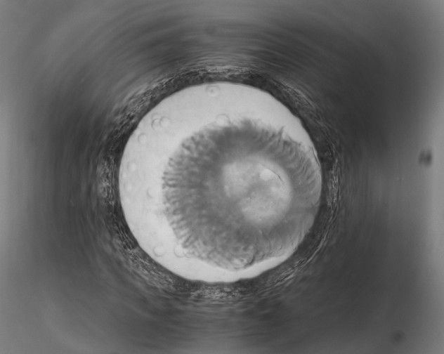 X0000114700917200912021104