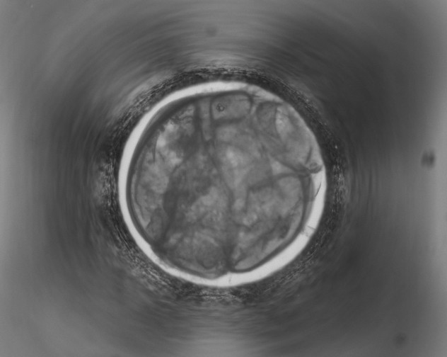 X0000114700918200912021104