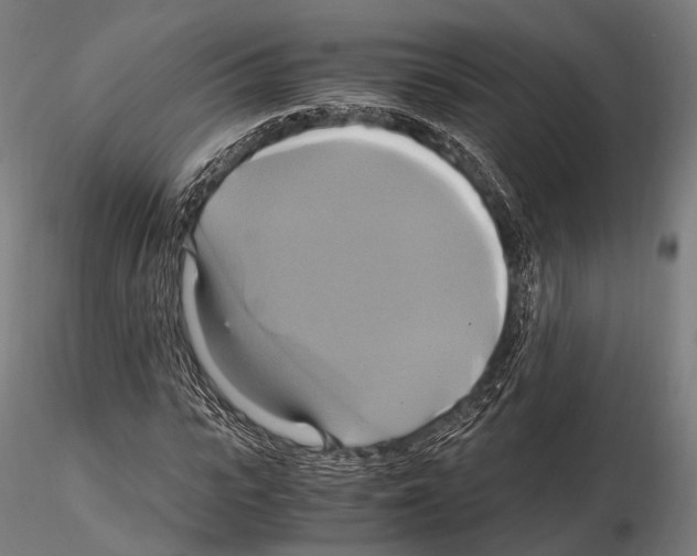 X0000114700919200912021104