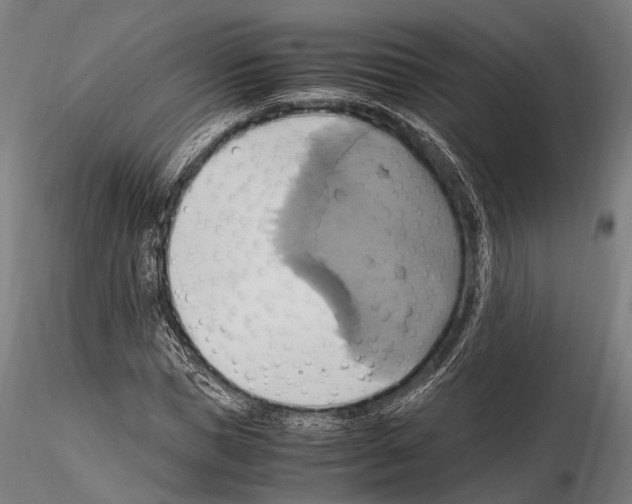 X0000114700921200912021104