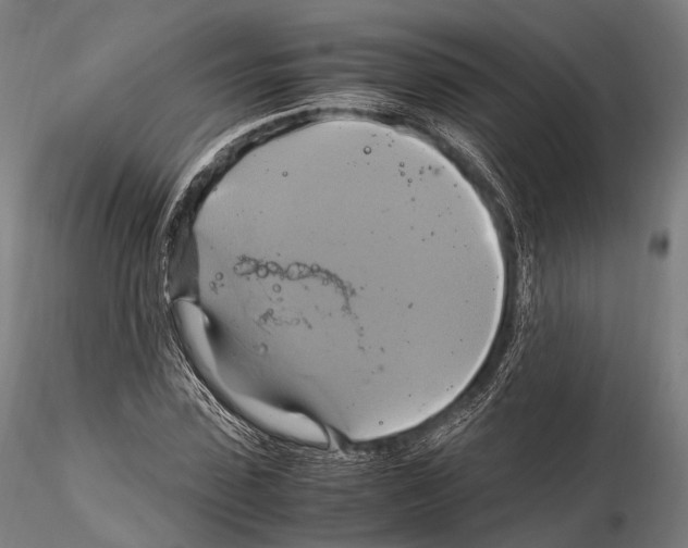 X0000114700923200912021105