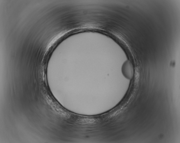 X0000114700925200912021105