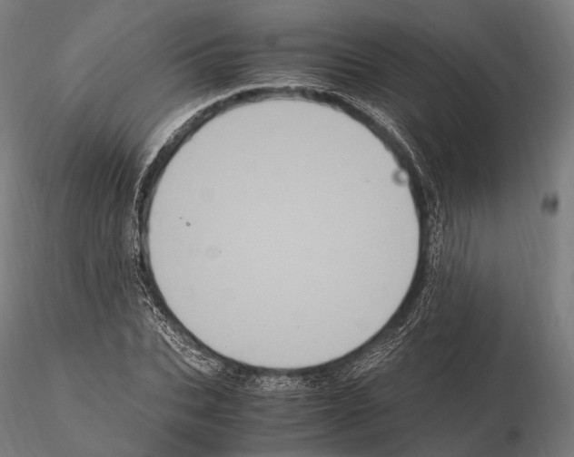 X0000114700927200912021105