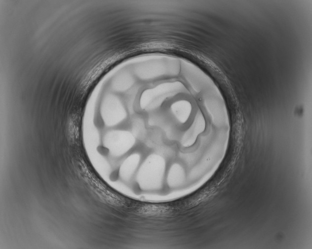 X0000114700929200912021105