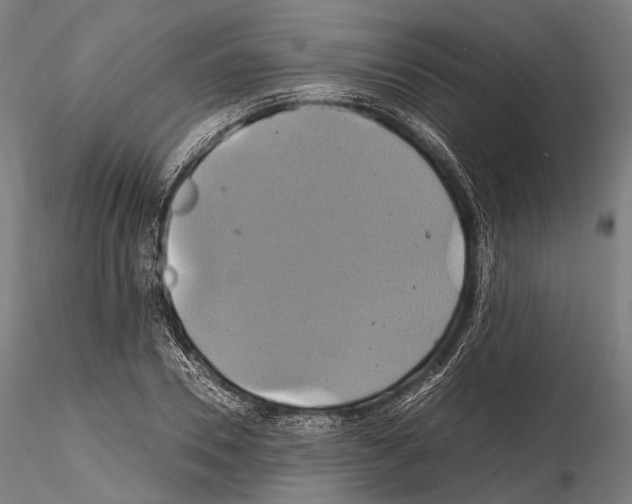 X0000114700930200912021105